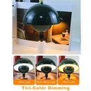 Axyaa Flower Bud Night Light Touch Dimming Desk Lamp