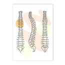 Axyaa Human Anatomy Skeleton Canvas Wall Art for Medical Office Decor