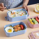 Axyaa Wheat Straw Microwave Lunch Box for Kids - Portable Bento Container