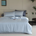 Axyaa Silk Duvet Cover - Double-Sided Luxury 100% Mulberry Silk Quilt Cover