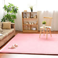 Axyaa 2cm Coral Fleece Carpet | Custom Size | Thickened | Branded Quality