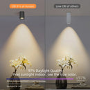Axyaa Square LED Downlight: Modern Nordic Ceiling Light for Room/Corridor/Hallway/Foyer