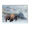 Axyaa Winter Snow Animals Canvas Wall Art Print for Living Room