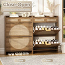 Axyaa Rattan Shoe Cabinet: 2 Flip-Top Drawers, 2 Extra Drawers, Compact Entrance Organizer