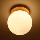Axya Glass Ball LED Ceiling Lamp Home Lighting Fixture