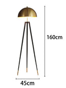 Axyaa Modern Floor Lamps for Living Room, Bedroom, and Home Decor