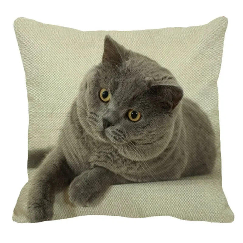 Axyaa British Shorthair Cat Pillow Cover 45X45cm Square Cushion