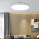 Axyaa Smart RGB Ceiling Light: WiFi Voice Control, App Control, Alexa & Google Home Integration