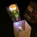 Axyaa Glowing LED Rose Flowers - Romantic Valentine's Day Gift