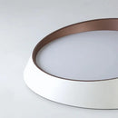 Axyaa Modern LED Ceiling Lamp for Home and Restaurant Decor