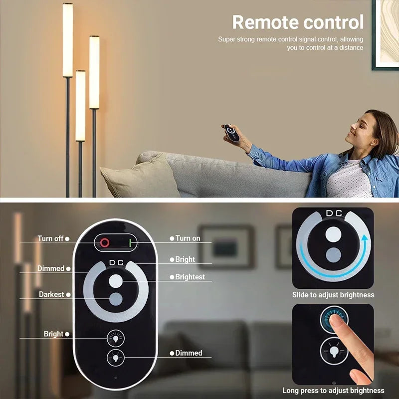 Axyaa Nordic Living Room LED Floor Lamp - Modern, Simple, Infinite Dimming