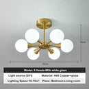 Axyaa Copper Glass Ball Pendant Lamps for Kitchen Bedroom Restaurant Home Decoration