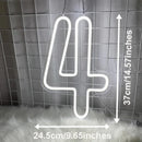 Axyaa Neon Numbers 0-9 Light Sign: Personalized Wall Art for Home Decor, Celebrations