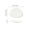 Axyaa Triangular Ceramic Steak Plate for Molecular Gastronomy and Fine Dining