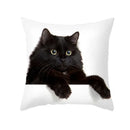 Axyaa Black Cat Pillowcases: Cute Kitty Lover Cushion Cover & Home Decor