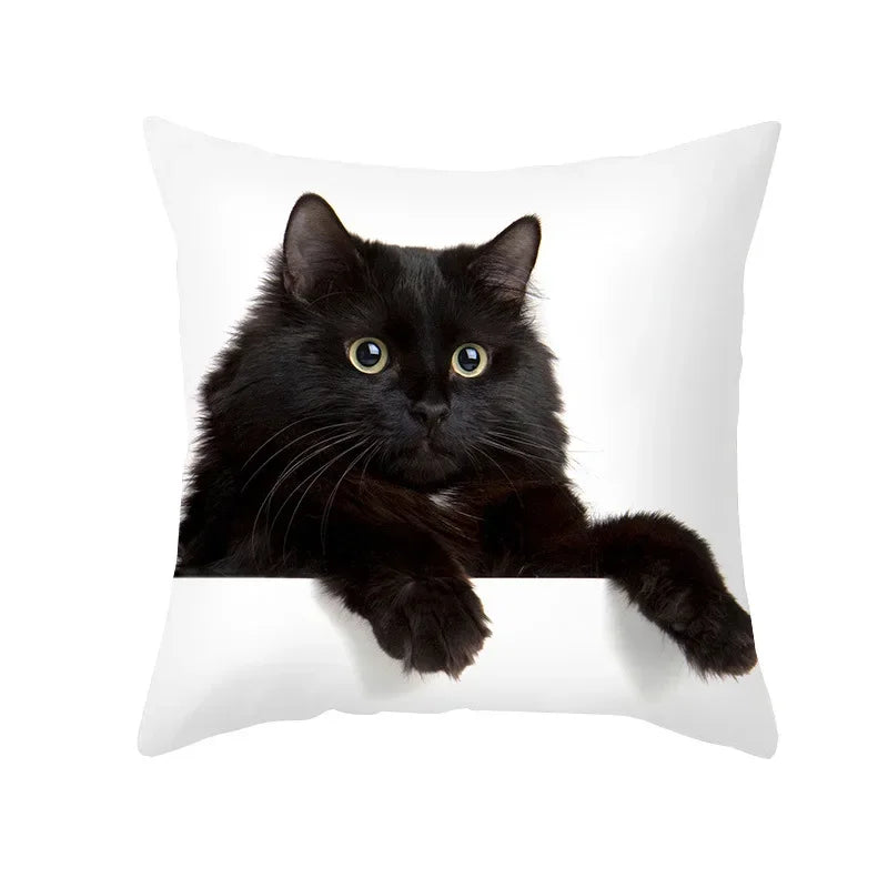 Axyaa Black Cat Pillowcases: Cute Kitty Lover Cushion Cover & Home Decor