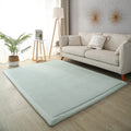 Axyaa 2cm Coral Fleece Carpet | Custom Size | Thickened | Branded Quality