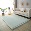 Axyaa 2cm Coral Fleece Carpet | Custom Size | Thickened | Branded Quality