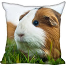 Axyaa Hamster Pattern Pillowcase Set for Home Decor 45*45cm
