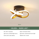 Axyaa Modern LED Aisle Ceiling Light | Simplicity Style Indoor Lighting Fixture