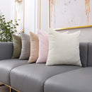 Axyaa Soft Plush Velvet Cushion Cover in Various Colors 45x45