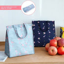 Axyaa Insulated Cooler Bag for Food & Drinks, Portable for Picnics, Camping, Leakproof