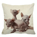 Cute Axyaa Sphinx Cat Cushion Cover 45X45cm - Home Sofa Decoration Pillowcase