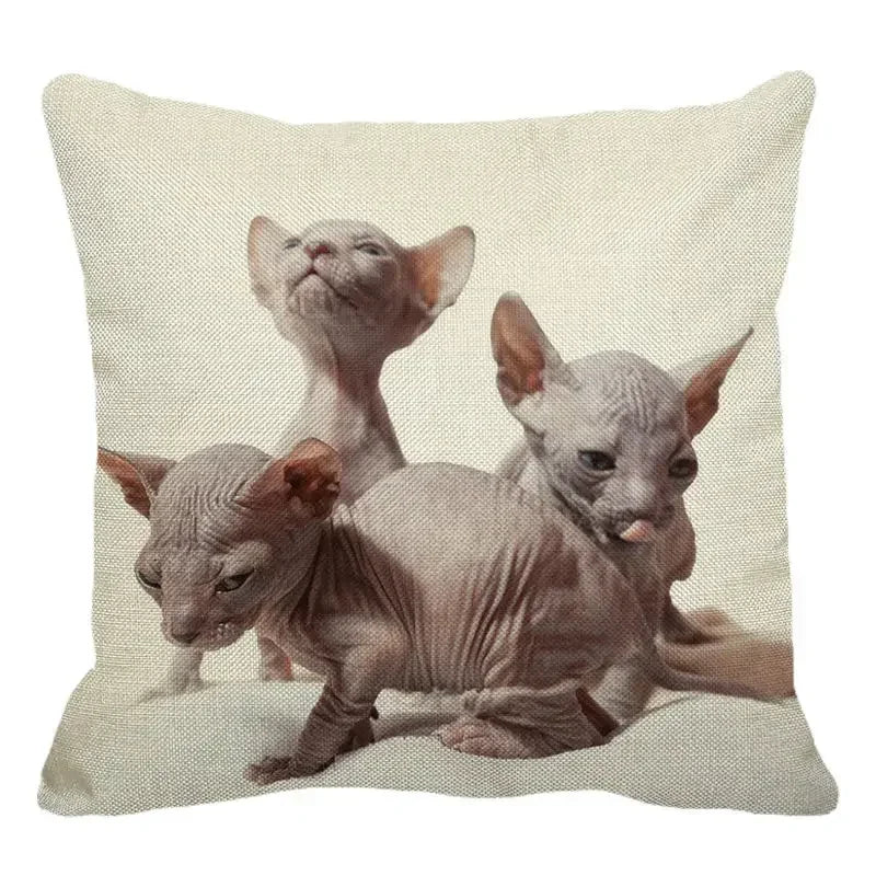 Cute Axyaa Sphinx Cat Cushion Cover 45X45cm - Home Sofa Decoration Pillowcase