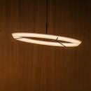 Axyaa Nordic Acrylic Chandelier LED Ceiling Light for Living Room Kitchen Restaurant