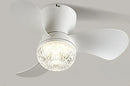 Axyaa Ceiling Fan Light with Variable Frequency Control
