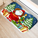 Axyaa Home Decor Entry Mat 40x60 50x80cm