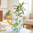 Axyaa Glass Hydroponic Flower Vase - Transparent Table Decor
