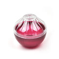 Axyaa Vegetable Fruit Shape Storage Box with Transparent Lid