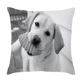 Axyaa Cute Pet Puppies Black and White Art Peach Skin Pillowcase