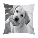 Axyaa Cute Pet Puppies Black and White Art Peach Skin Pillowcase