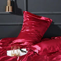 Axyaa Silk Pillowcase: Luxuriously Soft Skin-Friendly Pillow Cover