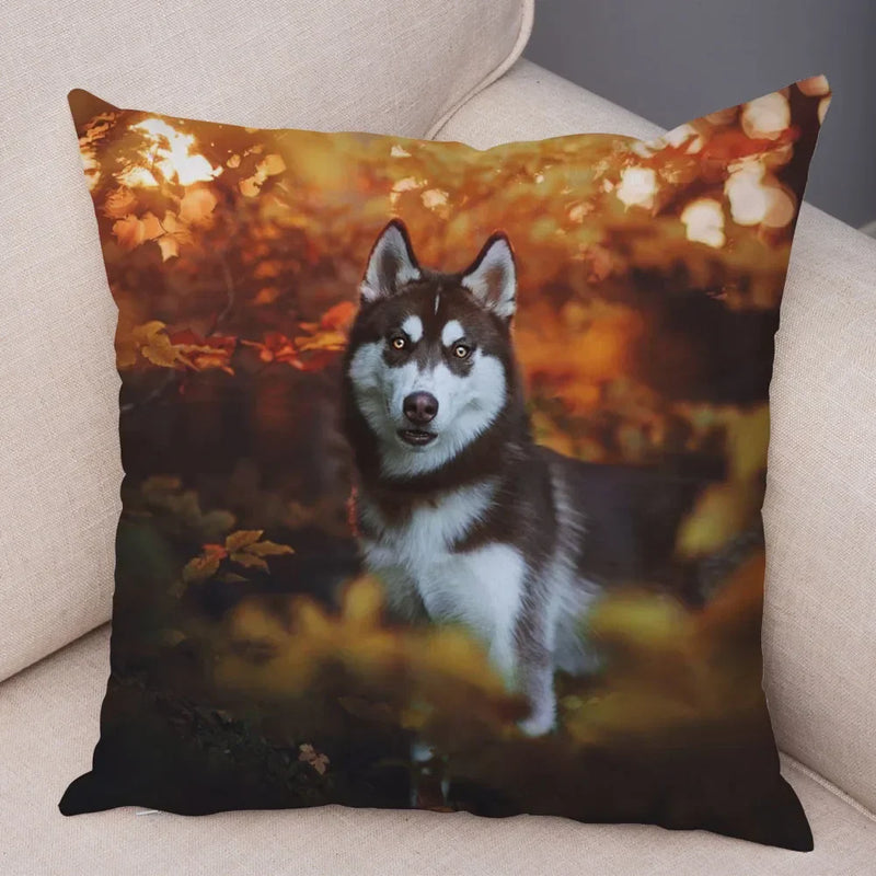 Siberian Husky Pillowcase - Axyaa Animal Cushion Cover, Decor, Cute, Dog Print