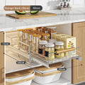 Axyaa Wood Drawer Organizer Dish Drying Rack Spicy Storage Home Gadget Set
