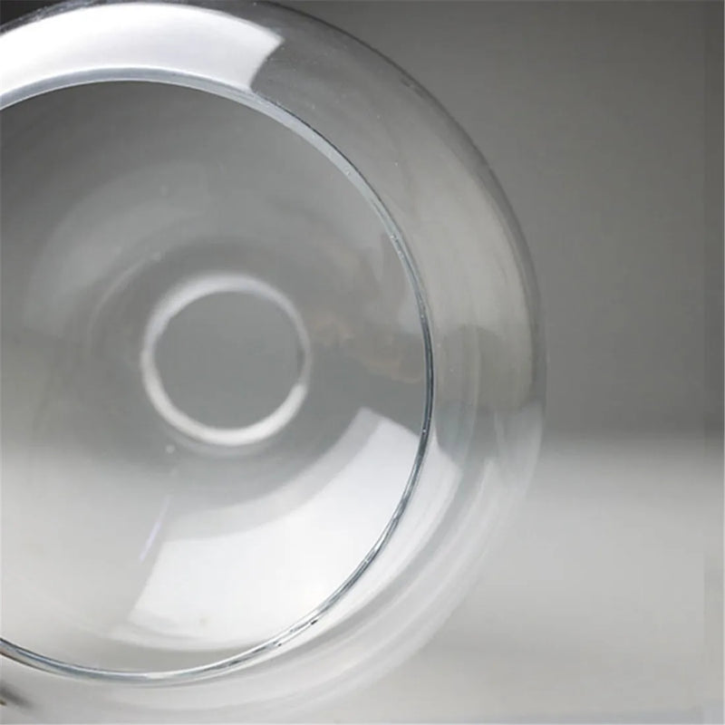Axyaa Hand Blown Clear Glass Globe Lampshade with 2 Ends Opening