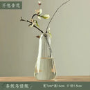 Axyaa Transparent Glass Zen Vase for Living Room Decor and Hydroponic Plants