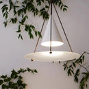 Axyaa Modern Iron Art Pendant Lights for Restaurant, Bar, and Exhibition Hall
