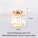 Axyaa Glass LED Ceiling Light for Home Decoration