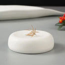 Axyaa Ceramic Dinner Plate Set for Dining and Serving