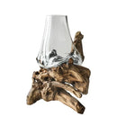 Axyaa Glass Bonsai Vase with Dead Wood Rack, Hydroponic Planting Pot for Home Decor