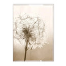 Pampas Grass Canvas Painting Poster by Axyaa - Scandinavian Art for Living Room