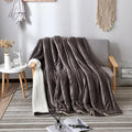 Axyaa Nordic Light Luxury Lamb Wool Flannel Double Layer Thick Quilt Blanket