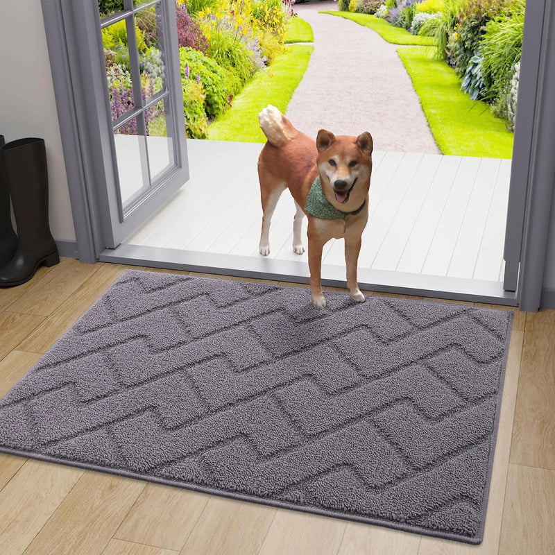 Axyaa Front Entry Indoor Doormat - Washable Non-Slip Absorbent Resist Dirt Mat