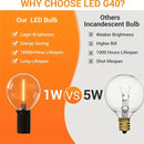 Axyaa Outdoor String Lights with Remote Control – 8 Functions, LED Edison Bulbs
