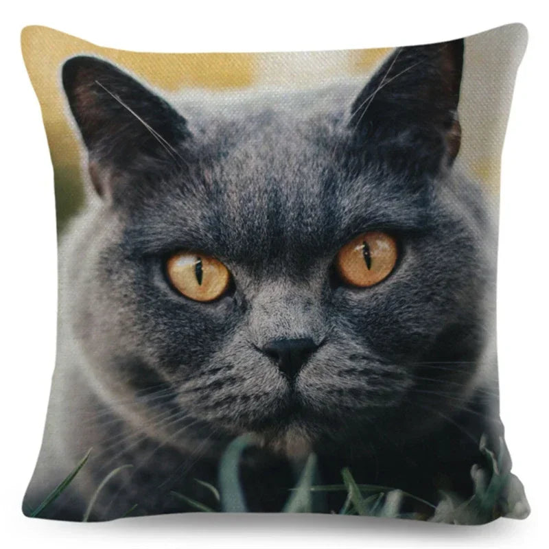 Cute Cat Print Fold Ear Pet Pillowcase for Cozy Home Decor by Axyaa