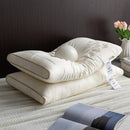 Axyaa Butterfly Silk Pillow 48x74cm - Pack of 2